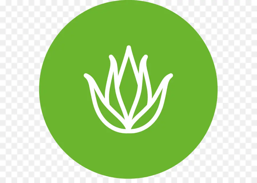 Aloe Vera，Iconos De Equipo PNG