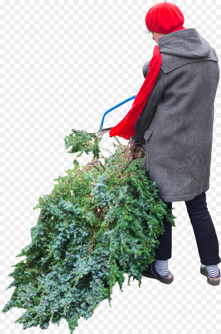 árbol De Navidad，La Navidad PNG