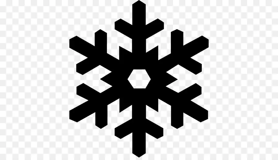 Copo De Nieve，Iconos De Equipo PNG