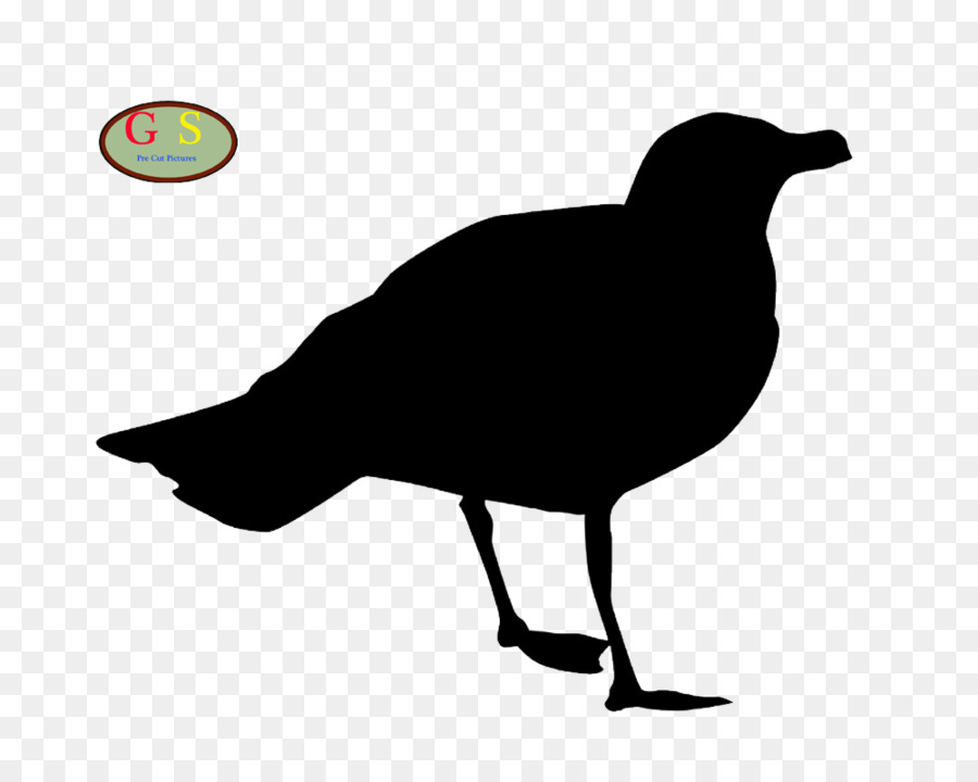 Pájaro，Silueta PNG