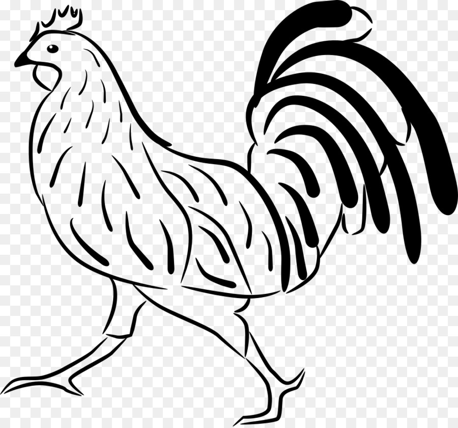 Pollo，Gallo PNG