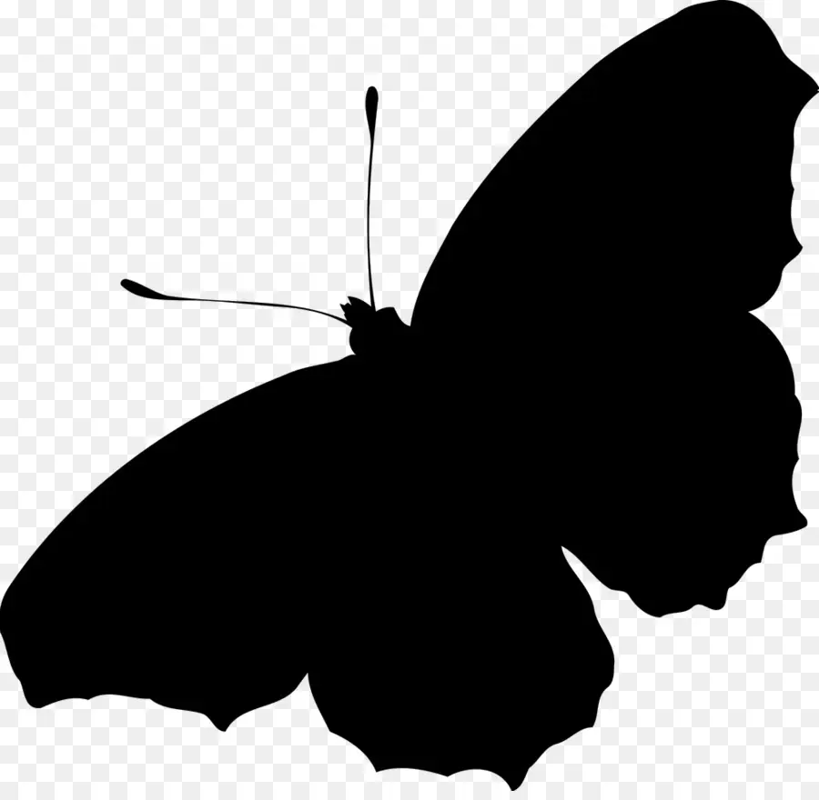 Silueta De Mariposa，Negro PNG