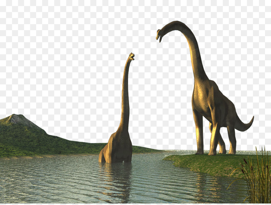 Dinosaurio，La Vida Silvestre PNG