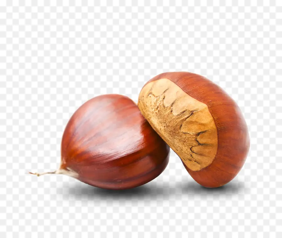 Kiwi，Sweet Chestnut PNG