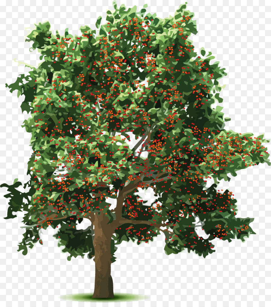 Invitación De La Boda，árbol PNG