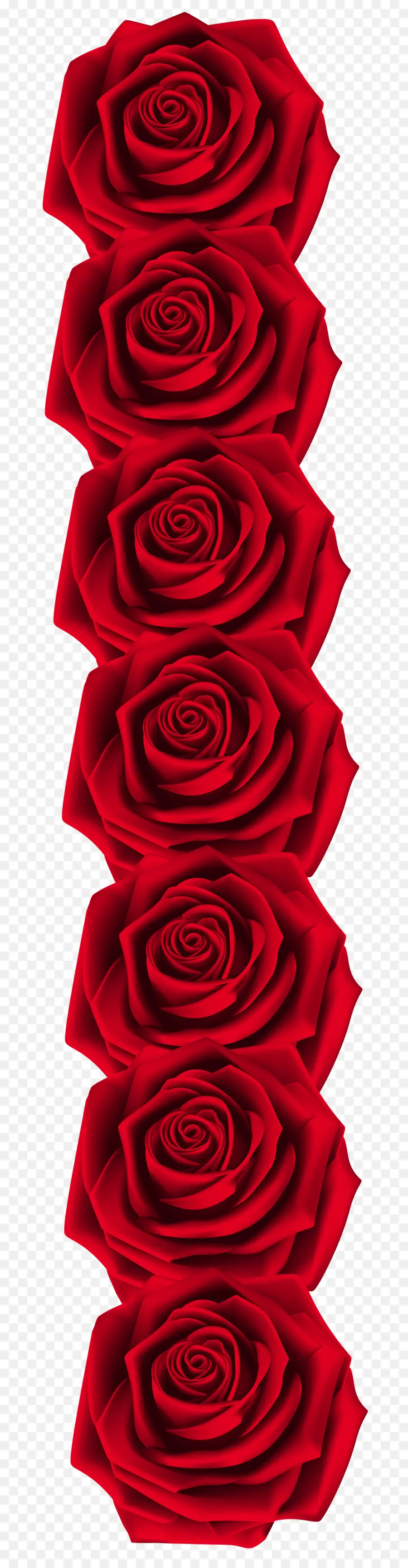 Rosa，Rojo PNG