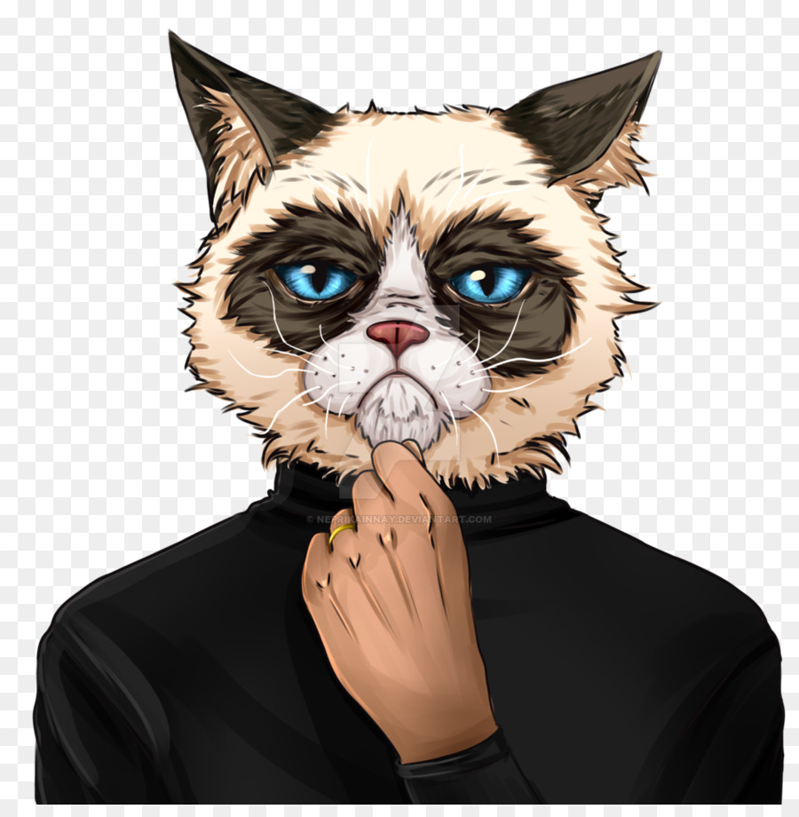 Personaje De Gato，Gato PNG