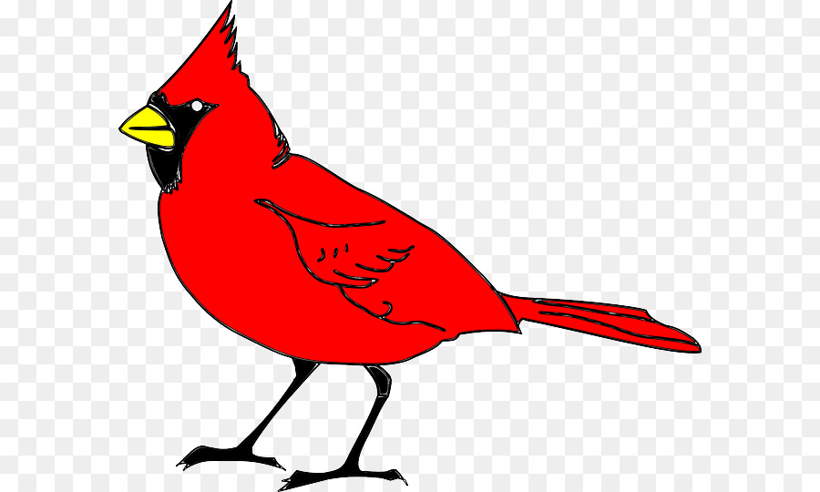 Pájaro Rojo，Bate De Béisbol PNG