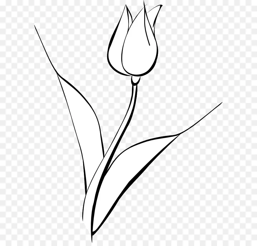 Tulipán，Planta PNG