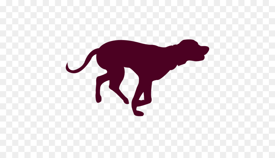 Caniche，Bulldog Francés PNG