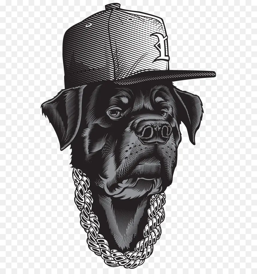 Perro Con Gorra，Sombrero PNG