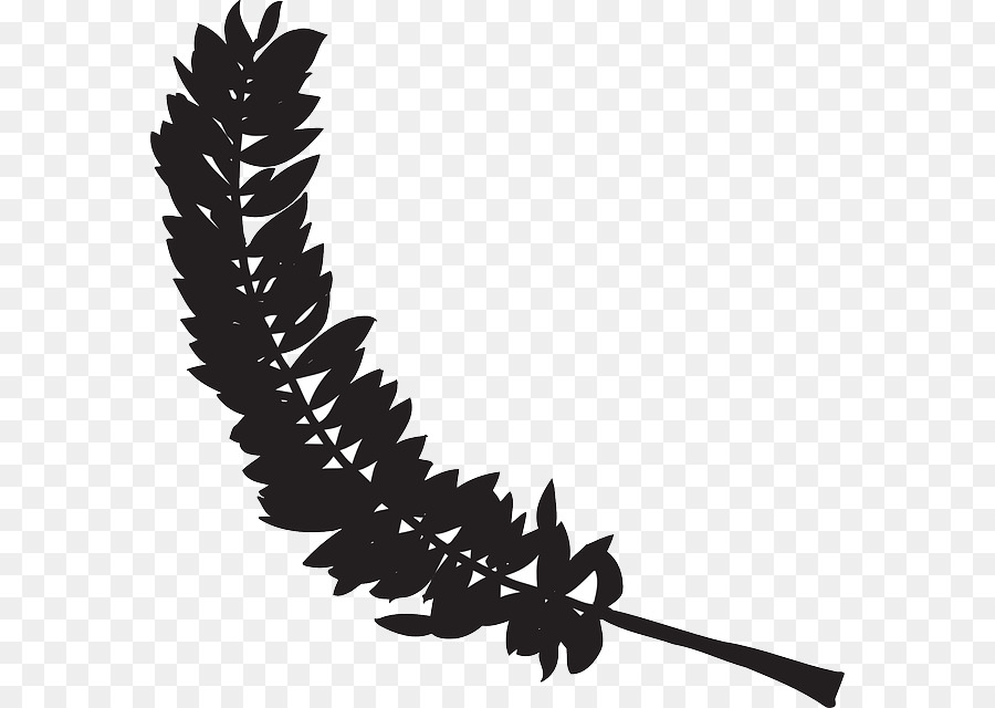 Pájaro，Pluma PNG