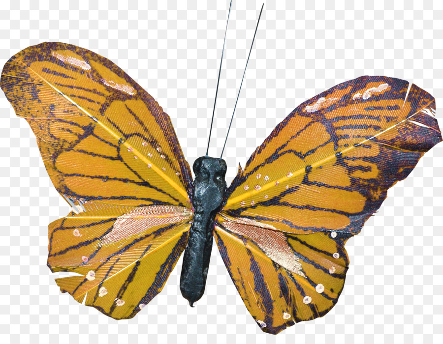 Mariposa Negra，Alas PNG