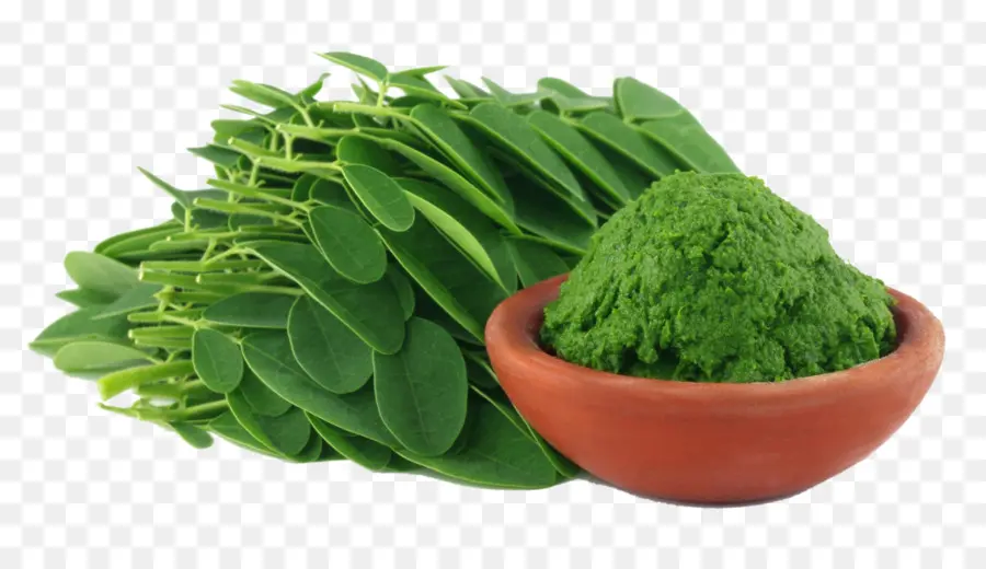 El árbol De Moringa，Nutrientes PNG