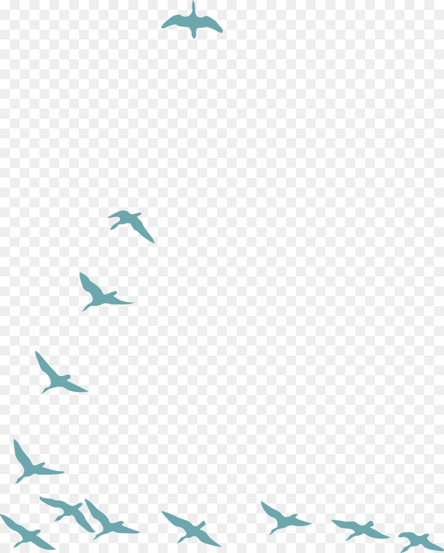 Aves Voladoras，Cielo PNG