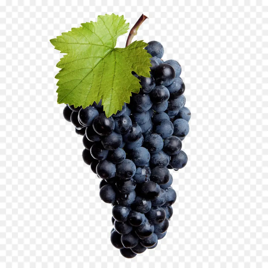 Común De La Uva De La Vid，Vino PNG