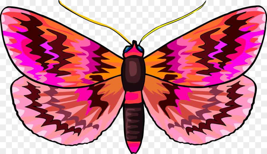 Mariposa，Iconos De Equipo PNG