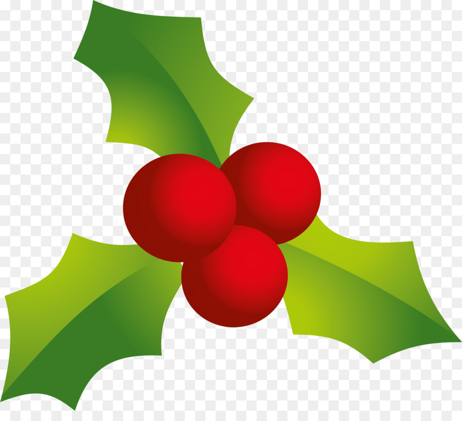 Holly，Fondo De Escritorio PNG