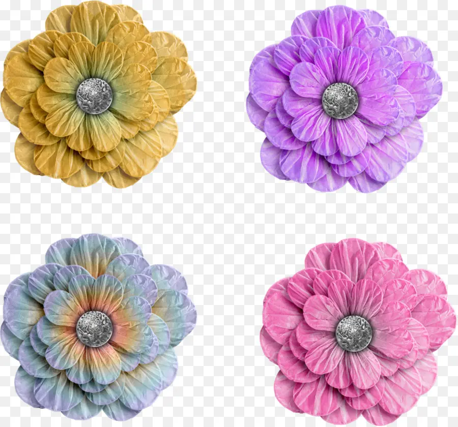 Flores Coloridas，Pétalos PNG