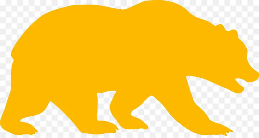La Universidad De California En Berkeley，California Golden Bears Baloncesto Femenino PNG