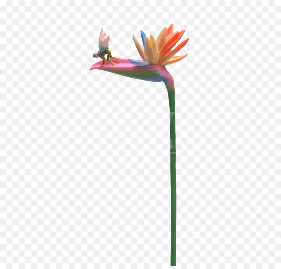 Tallo De La Planta，Flor PNG