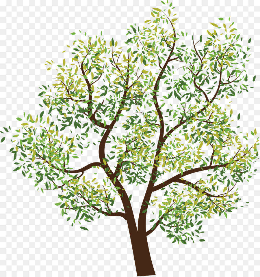 Árbol，Hojas PNG