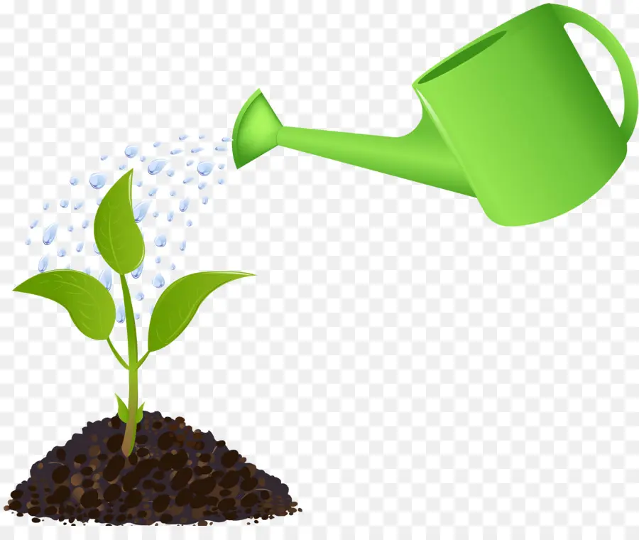 Regadera Y Planta，Regando PNG