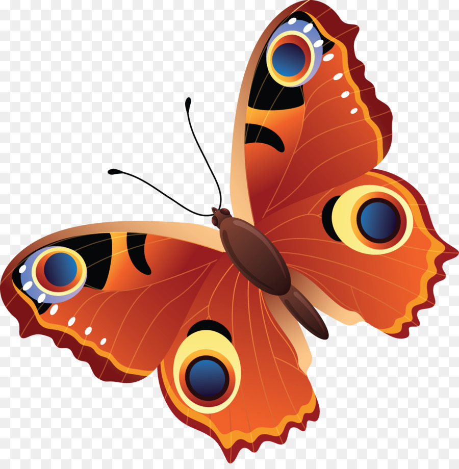 Dibujo，Mariposa PNG