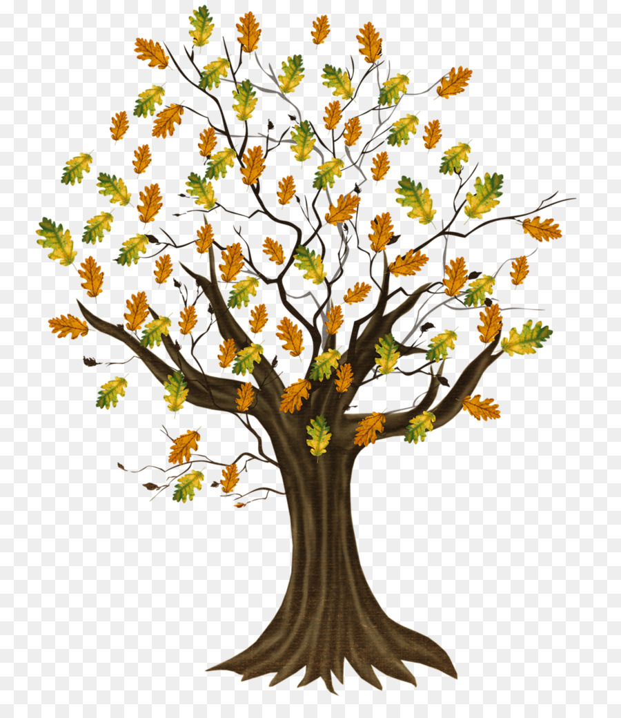 árbol，Hojas PNG