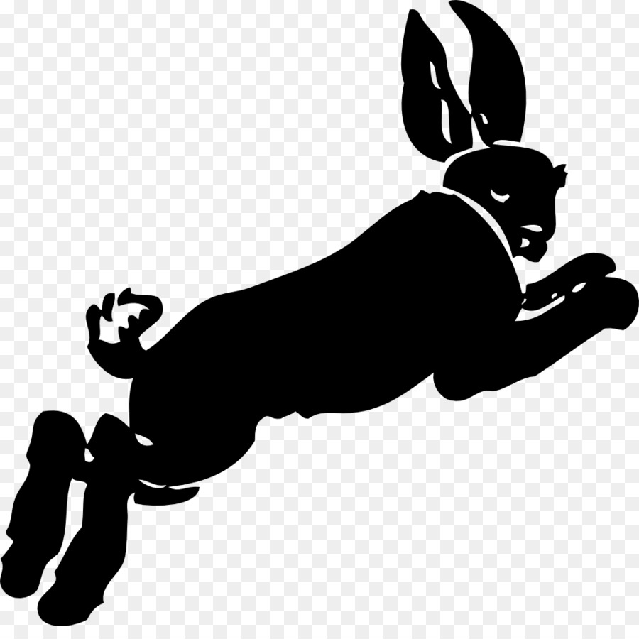 Hare，Conejo PNG