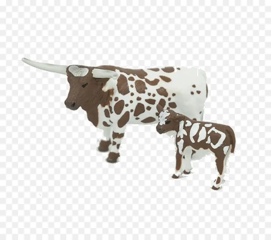 Texas Longhorn，Ganado Angus PNG