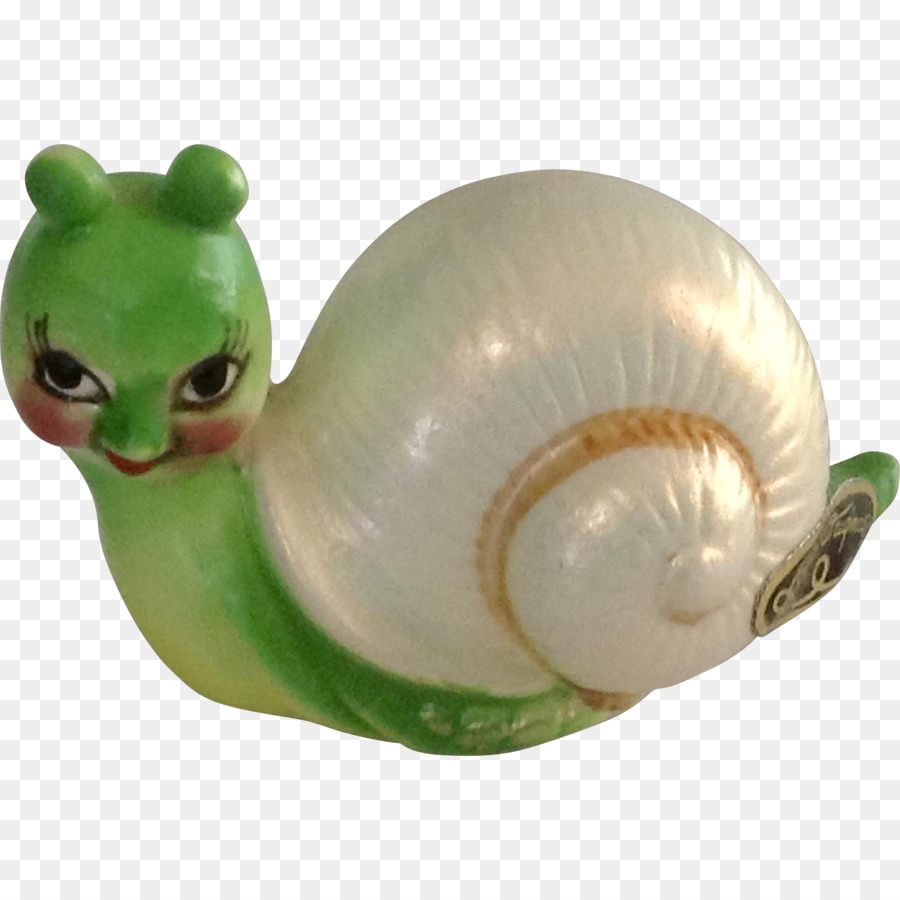 Caracol，Gasterópodos PNG