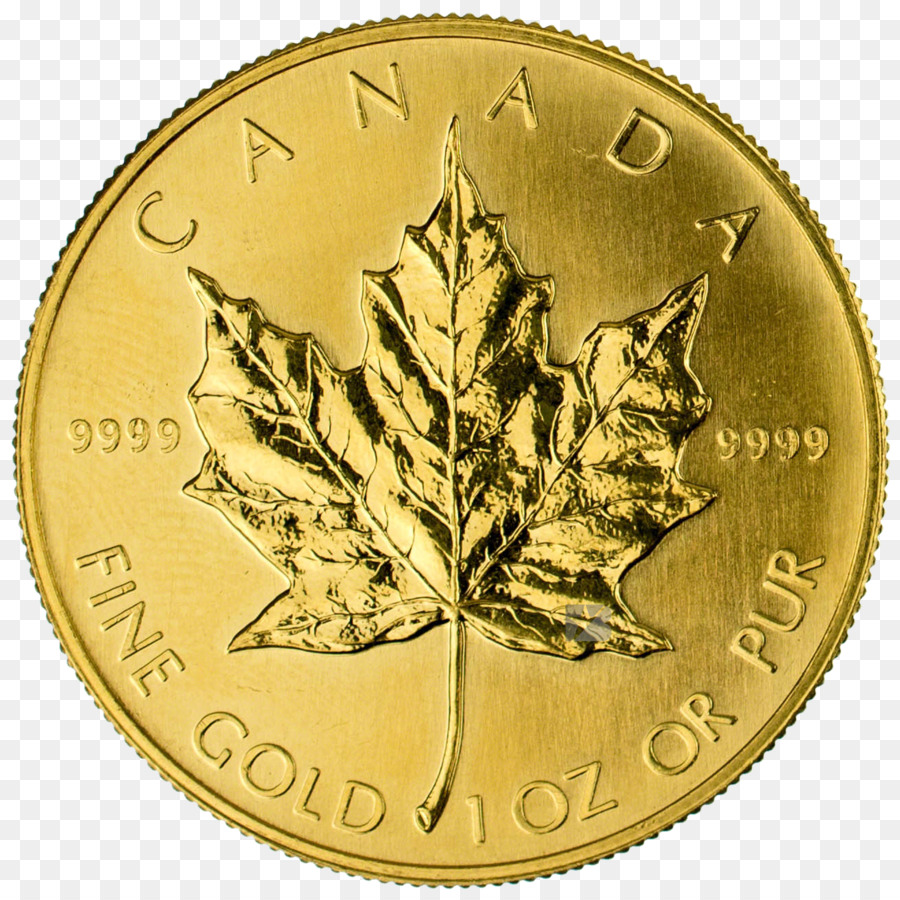 Moneda De Oro，Canadá PNG