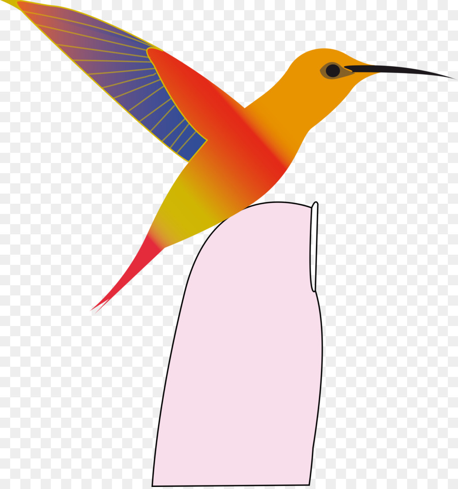 Colibrí，Pájaro PNG