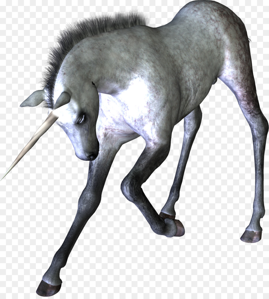 Unicornio，Caballo PNG