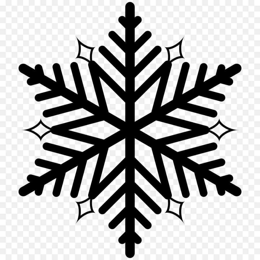 Copo De Nieve，Iconos De Equipo PNG