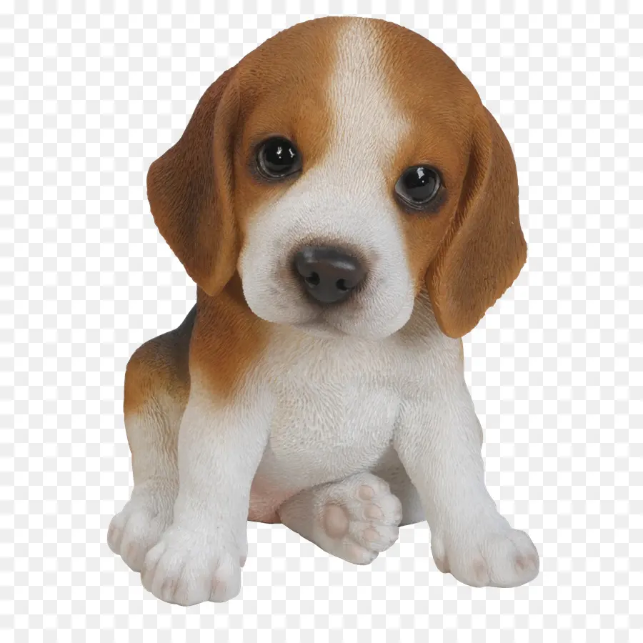 Pequeño Y Lindo Cachorro，Perro PNG