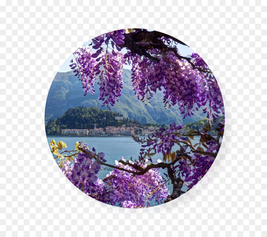 El Lago De Como，Restaurante PNG