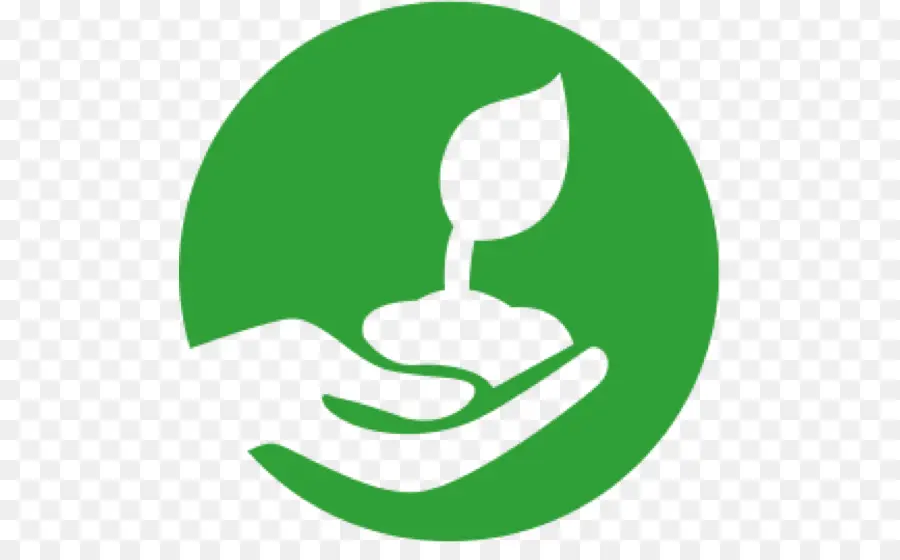 Planta De Mano，Crecimiento PNG