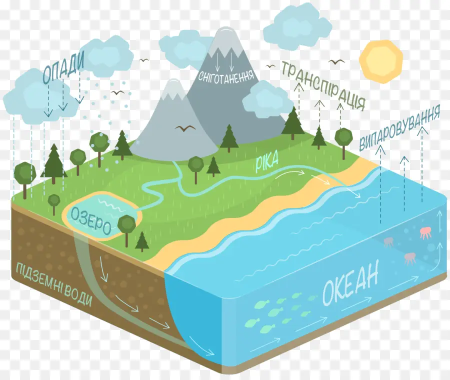 Ciclo Del Agua，Diagrama De PNG