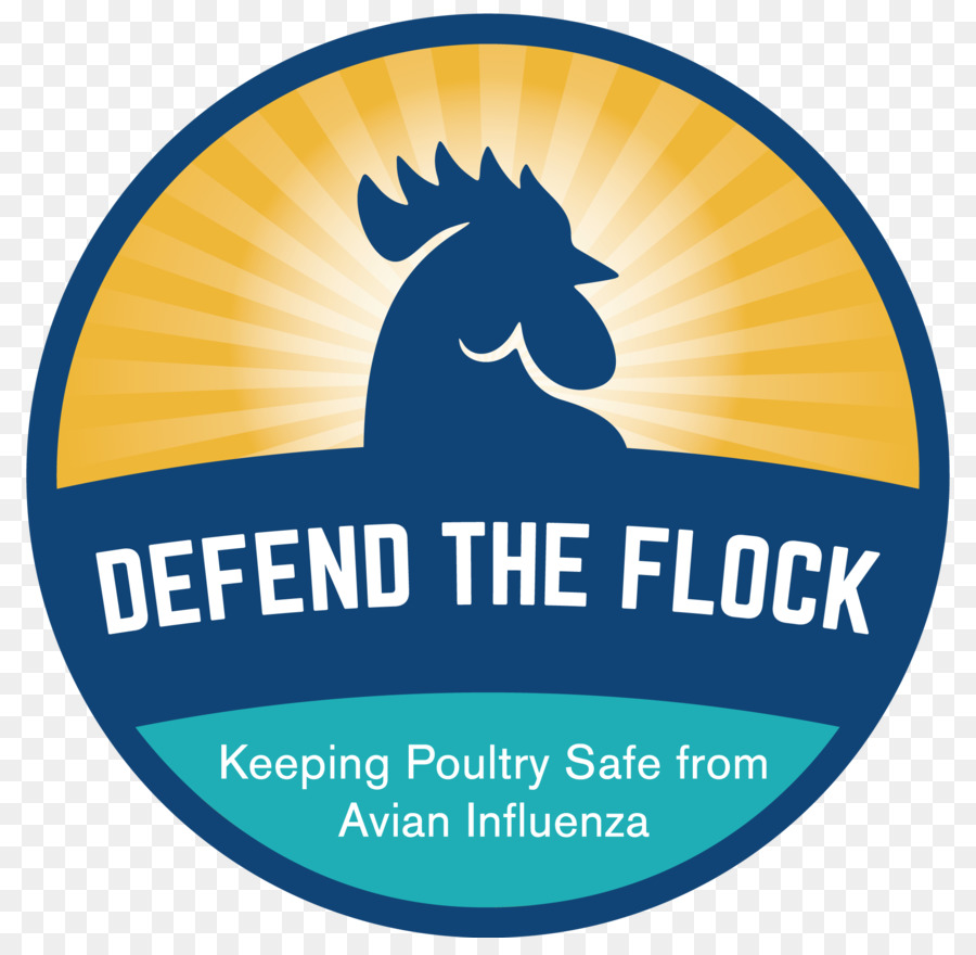 Influenza Aviar，Enfermedad PNG