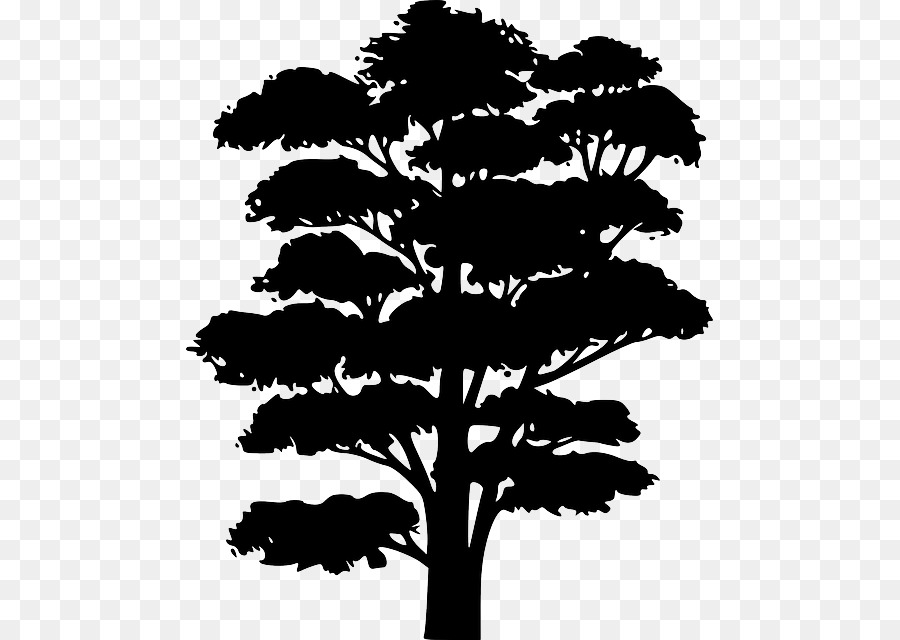 Silueta De Arbol，Planta PNG