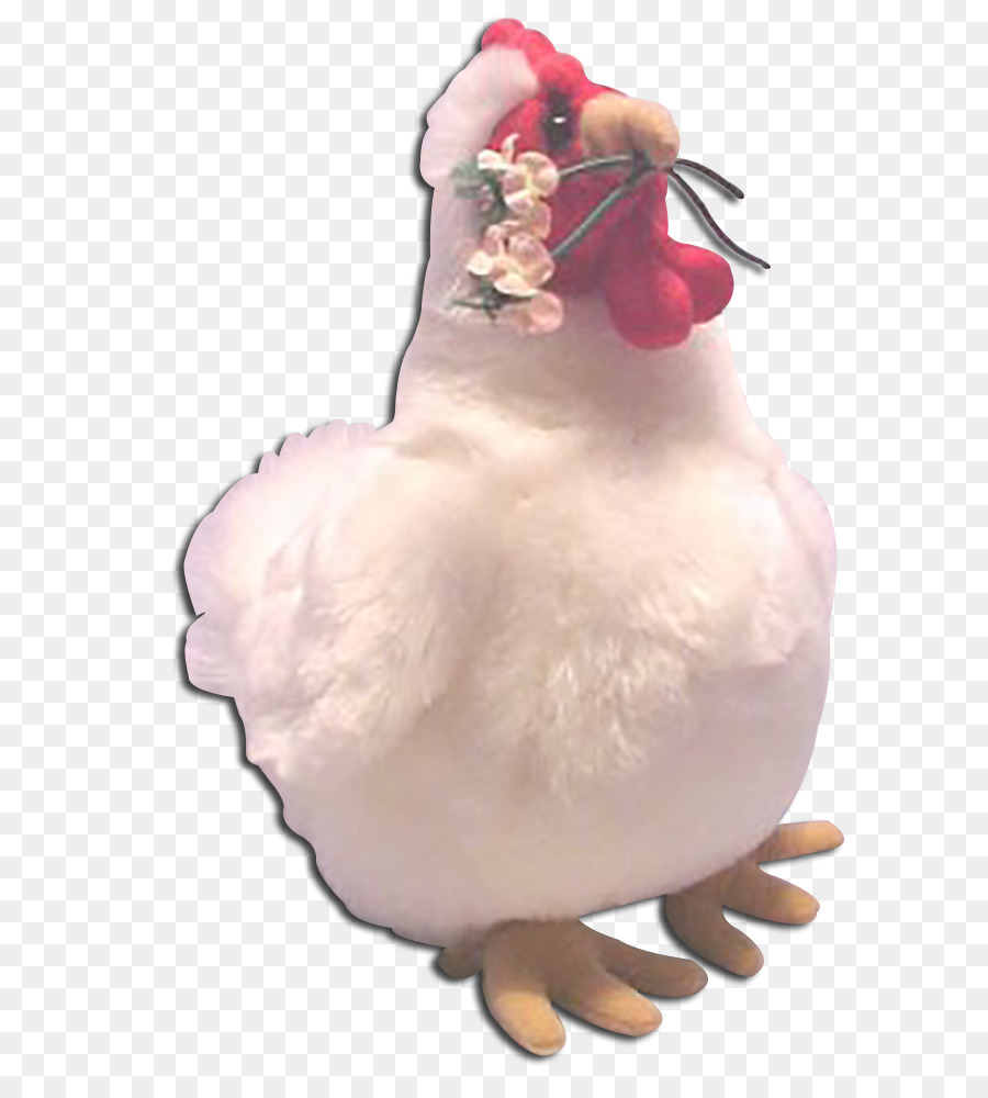 Pollo，Pájaro PNG