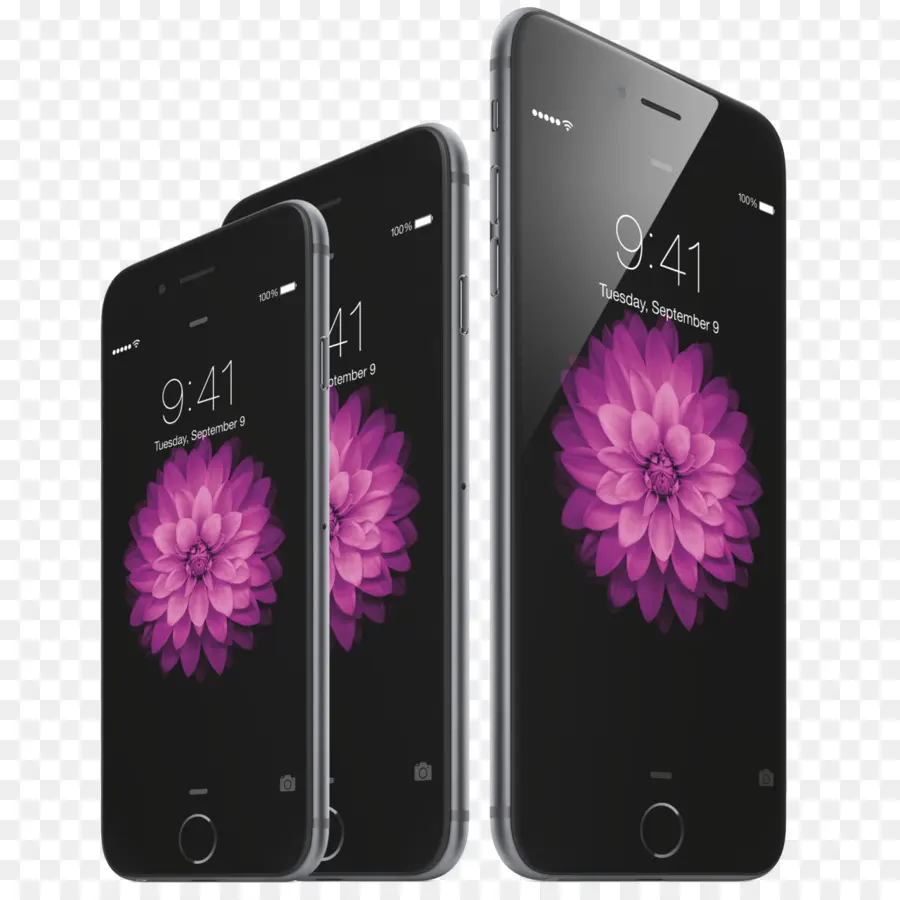 Iphone，Iphone 7 PNG