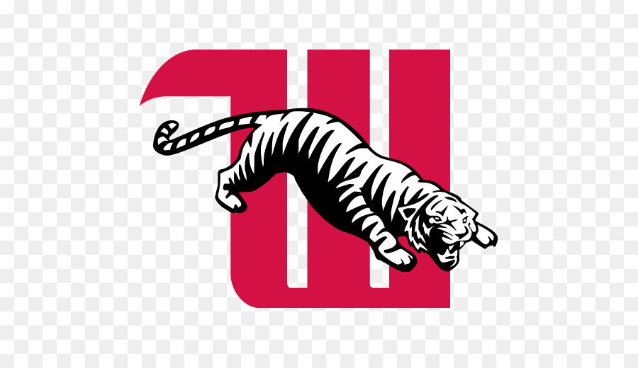 La Universidad Wittenberg，Wittenberg Tigres De Fútbol PNG