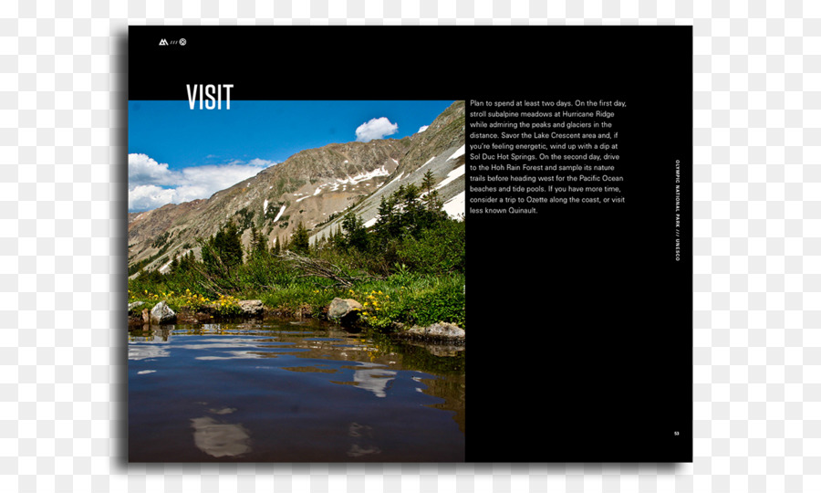 Aspen，El Parque Nacional De Yellowstone PNG