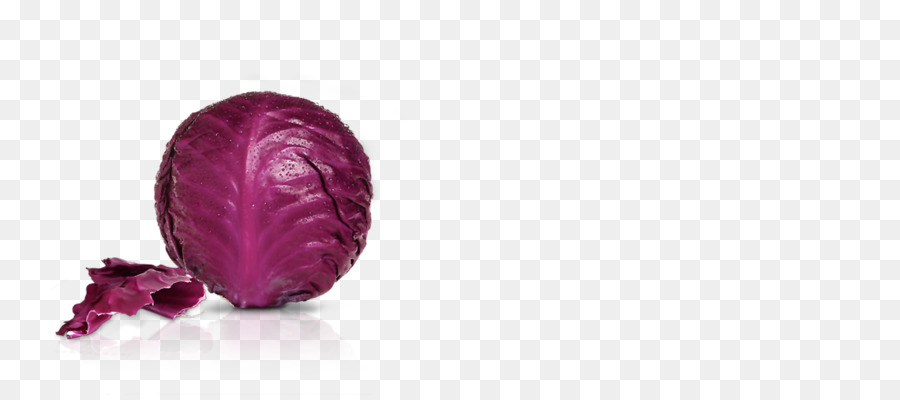 Violeta，Magenta PNG