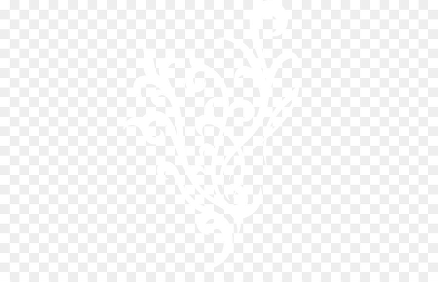 Patrón Floral Blanco，Diseño PNG