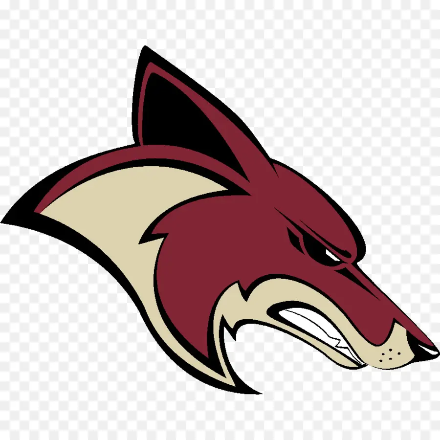 Arizona Coyotes，Coyote PNG