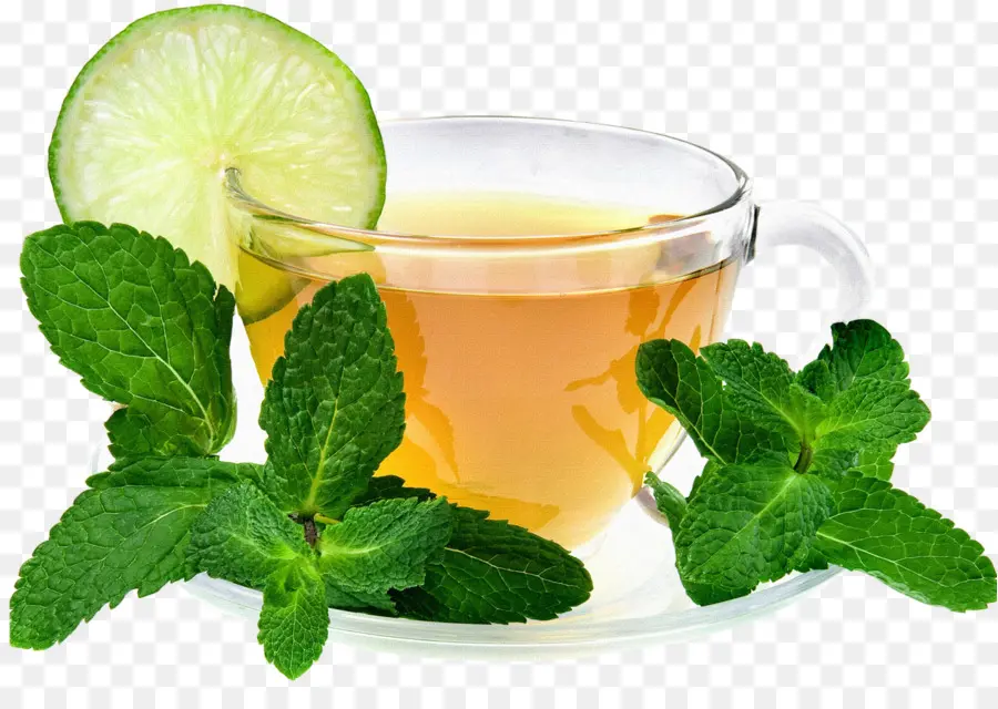 Té De Limón，Taza PNG